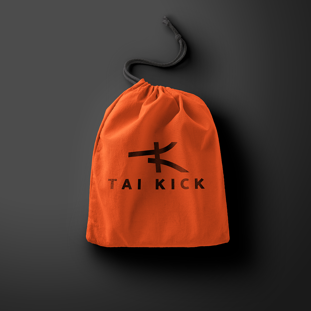 aplica design logo taikick