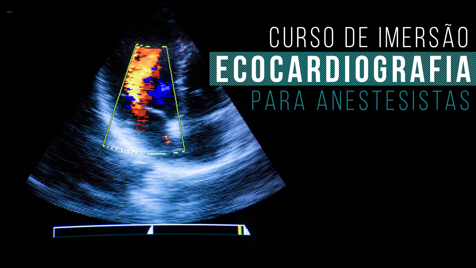 Curso de Imersão em Ecocardiografia para Anestesista Veterinário