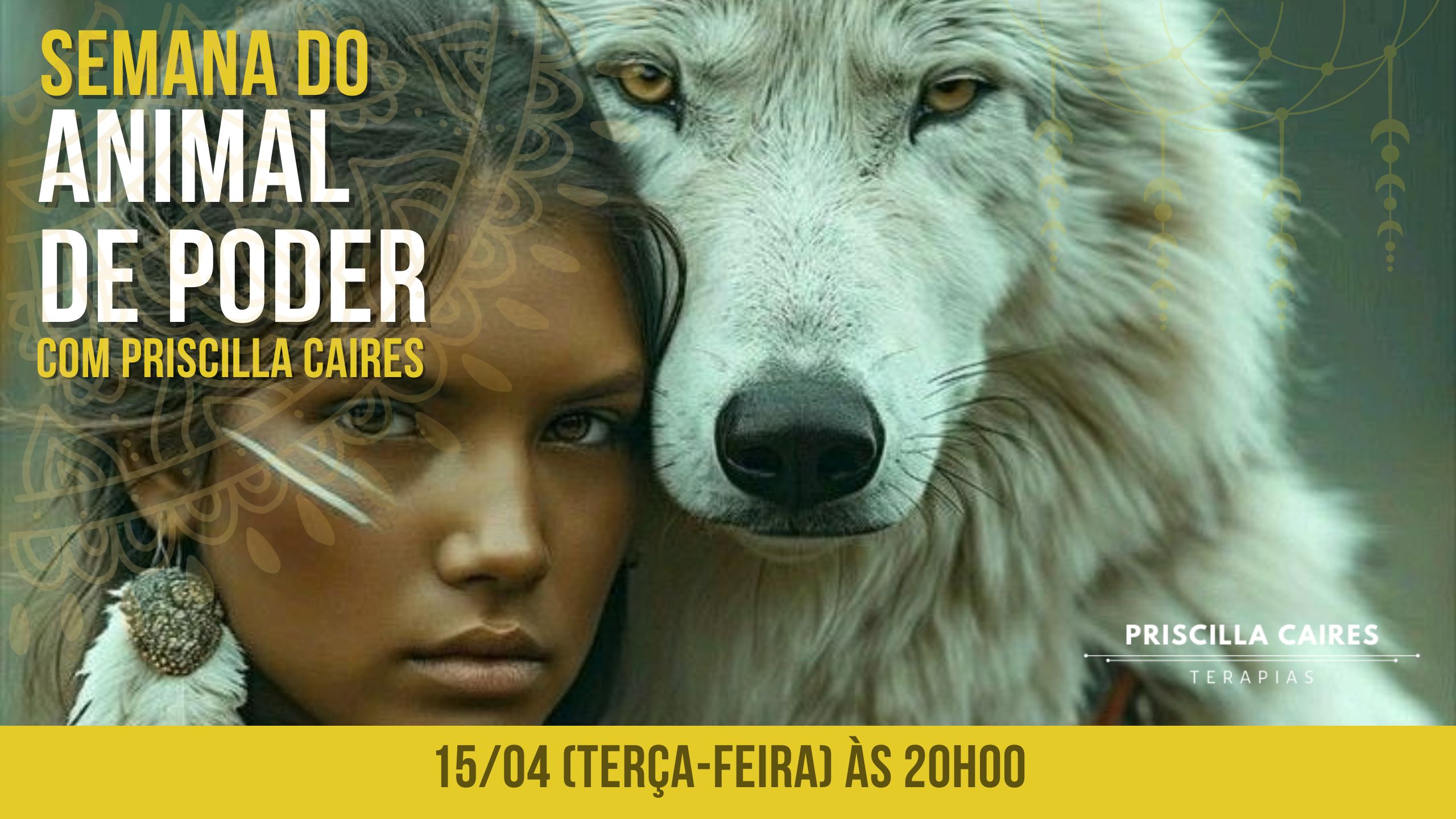 Desperte seus Animais de Poder - Aula 02