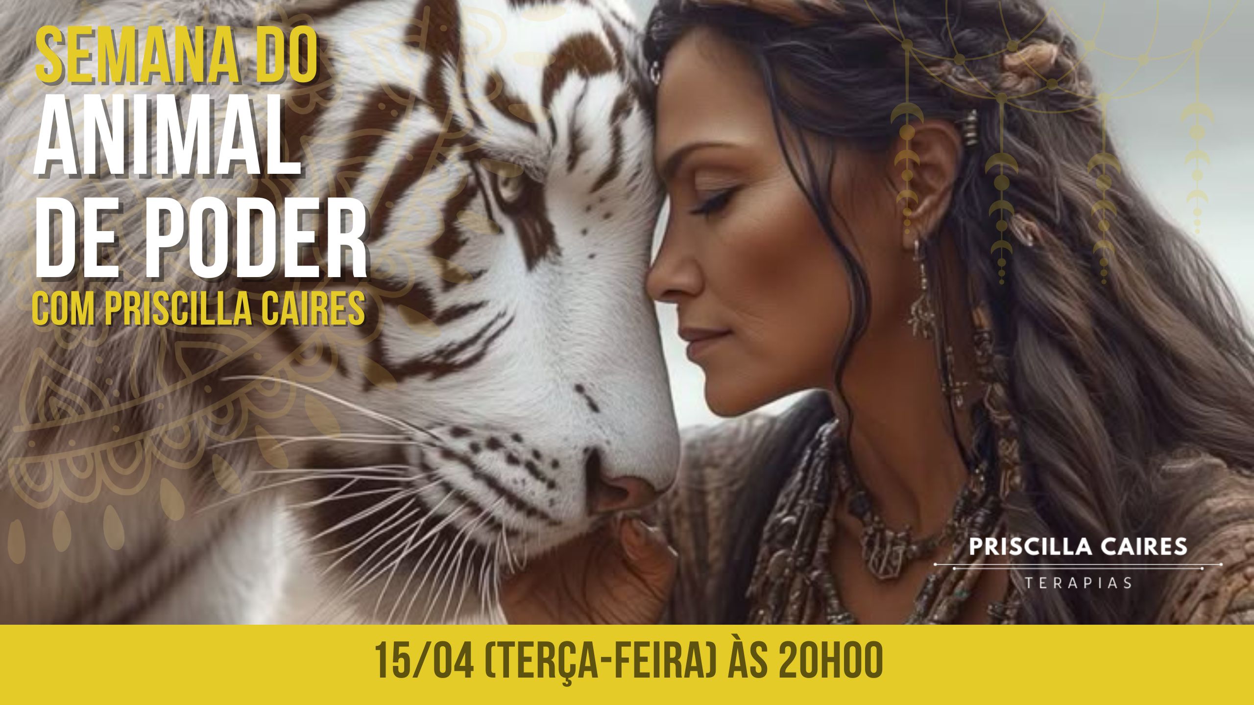 Desperte seus Animais de Poder - Aula 03