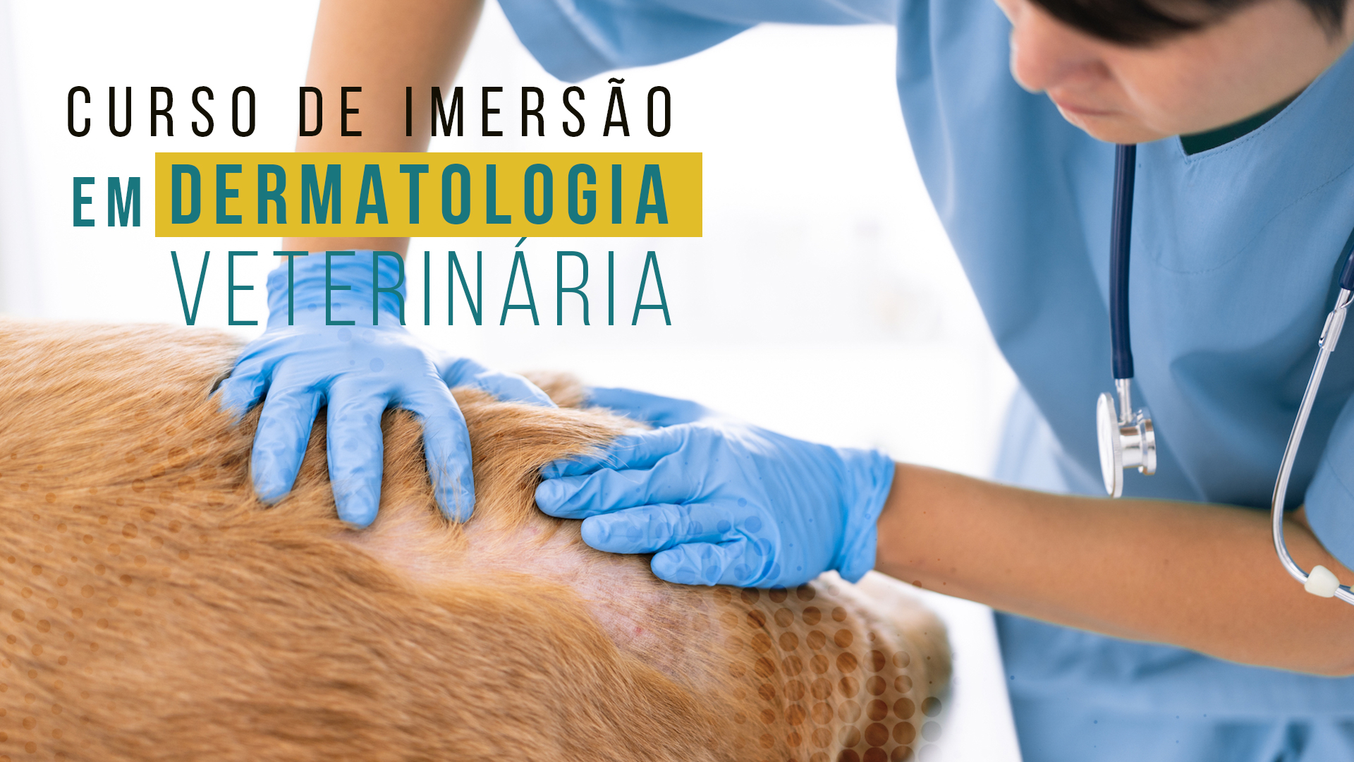 Curso de Imersão em Dermatologia Veterinária