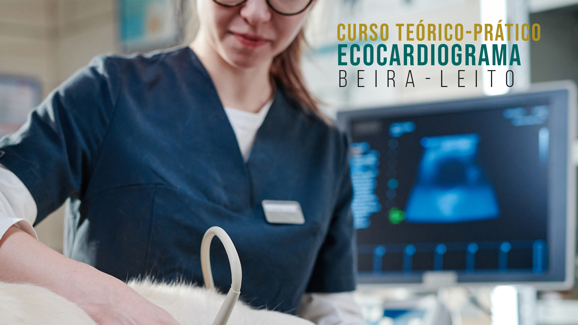 Curso Teórico Prático de Ecocardiograma Veterinário Beira Leito