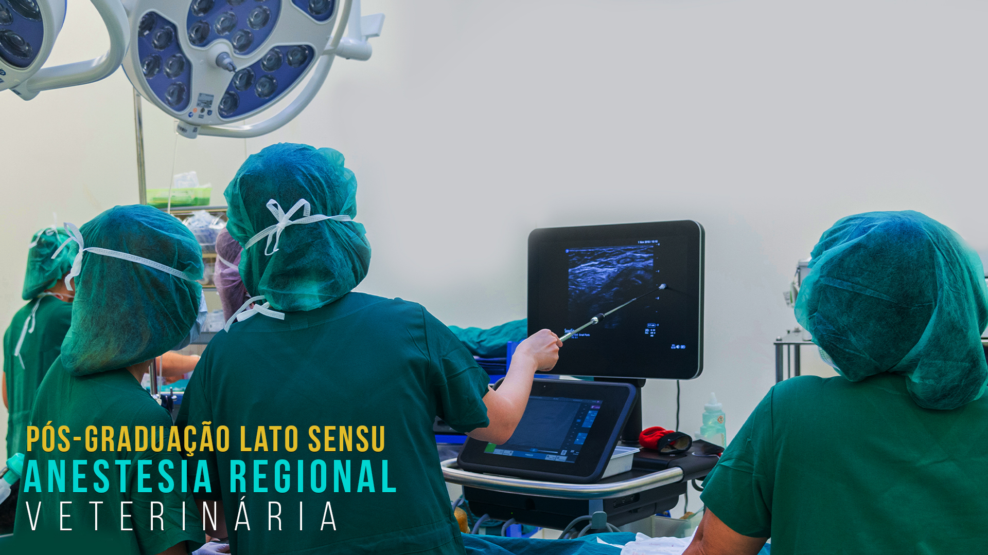 Pós-Graduação Lato Sensu em Anestesia Locorregional Veterinária em São Paulo