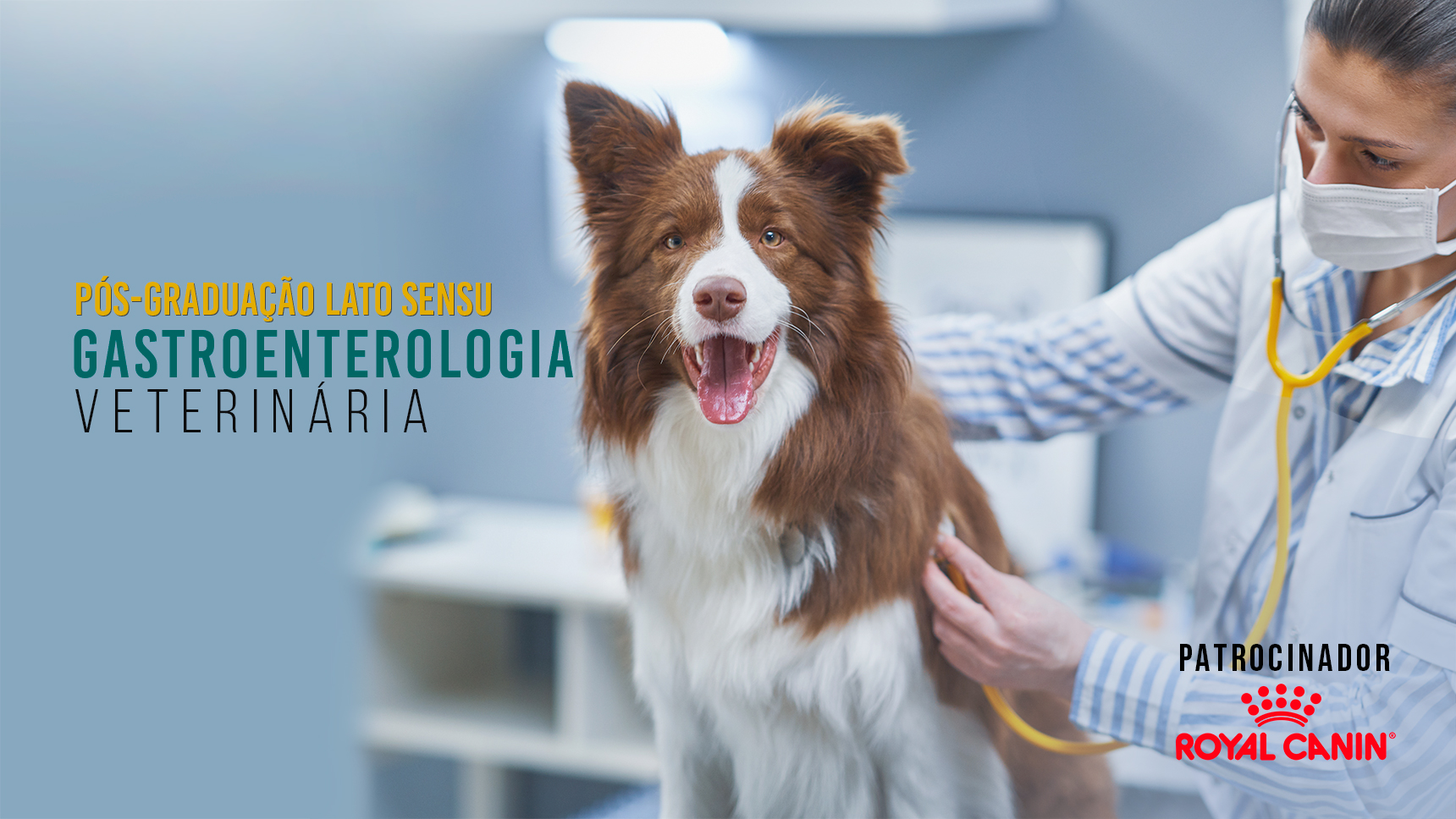 Pós-Graduação em Gastroenterologia Veterinária IEP Ranvier