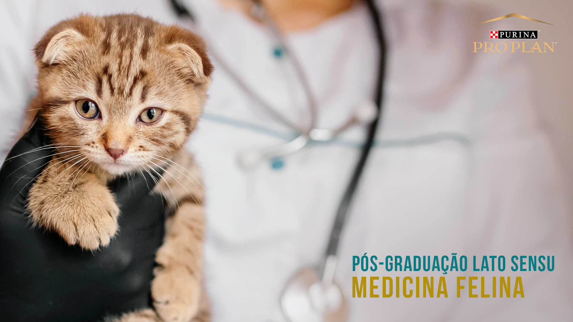 Pós Graduação em Medicina Felina