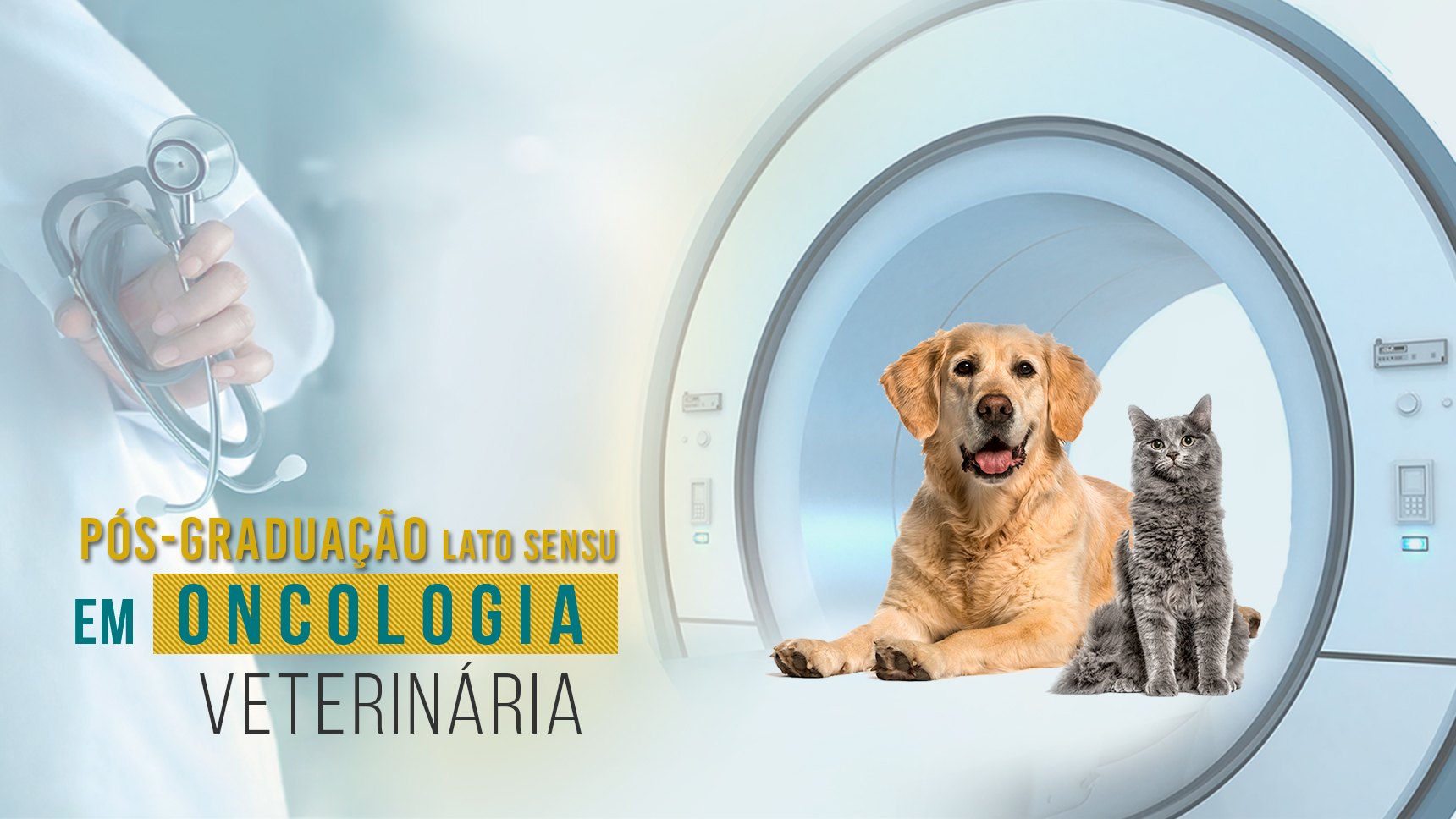 Pós-Graduação em Oncologia Veterinária IEP Ranvier