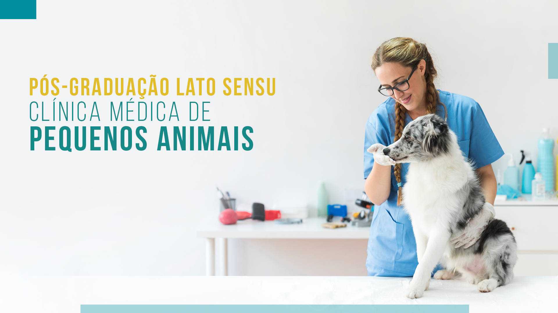Pós Graduação em Clínica Médica de Pequenos Animais SP 2021