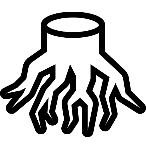 Sistema Radicular